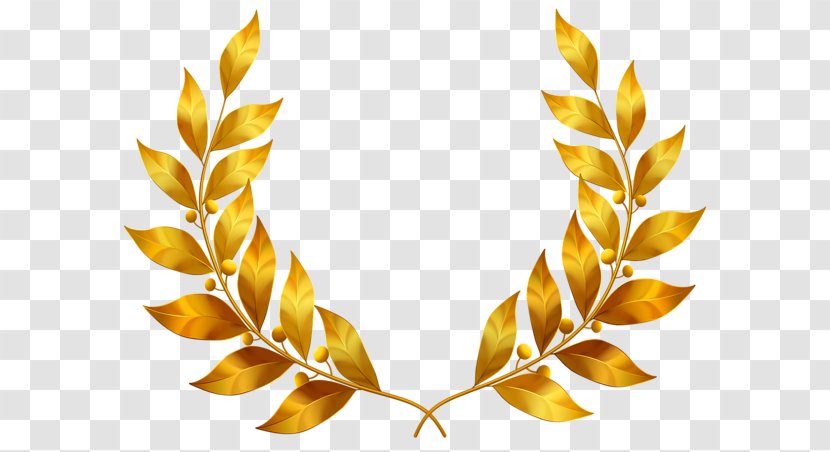 Gold Leaf Bay Laurel Clip Art - Wreath - Golden Leaves Transparent PNG