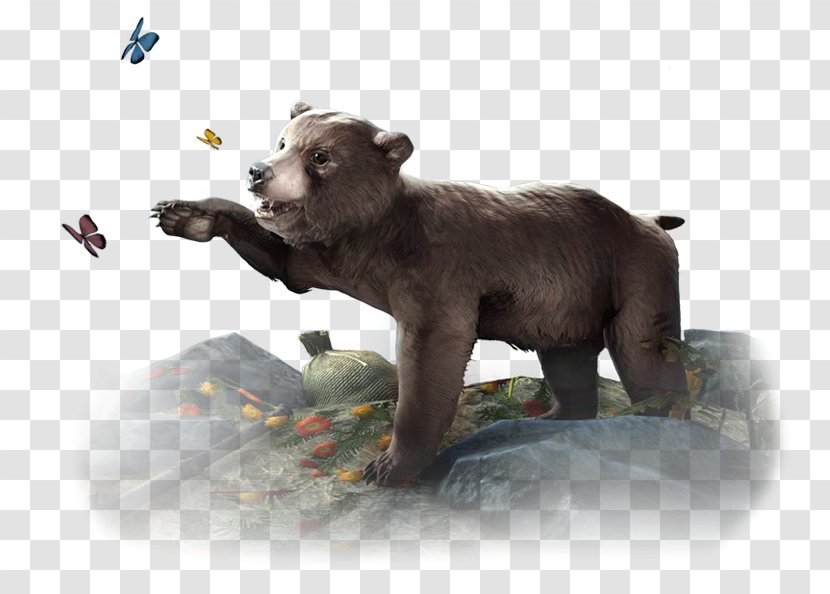 Brown Bear Polar American Black Elder Scrolls Online: Morrowind - Cub Transparent PNG