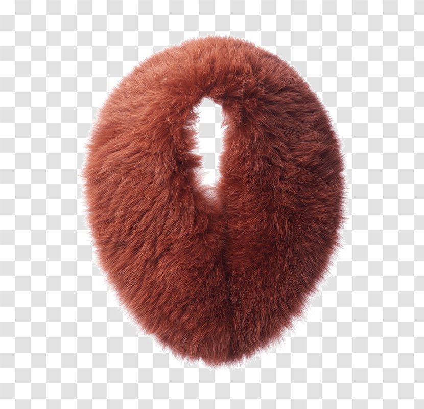 Fur Clothing Collar Mink Jacket - Neck Transparent PNG