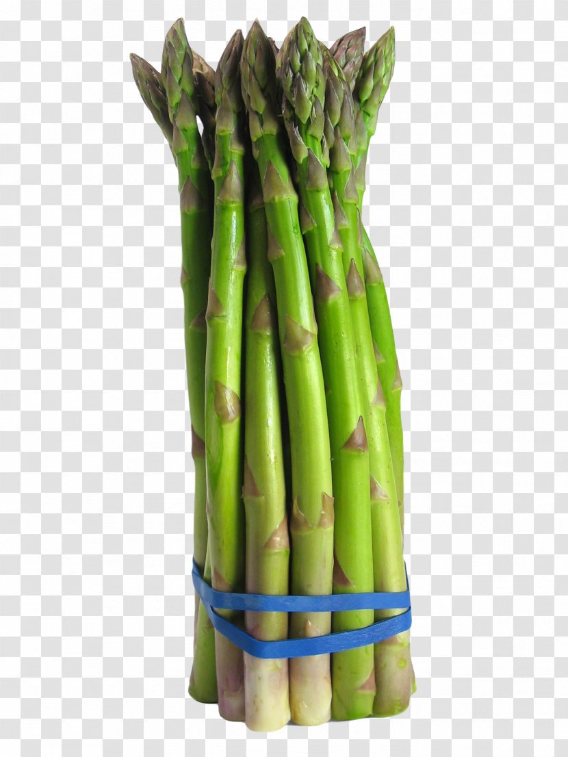 Asparagus Vegetable Food Broccoli Onion - Fruit Transparent PNG