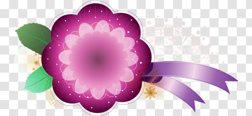 Desktop Wallpaper Computer Purple Flowering Plant Plants - Decor Transparent PNG