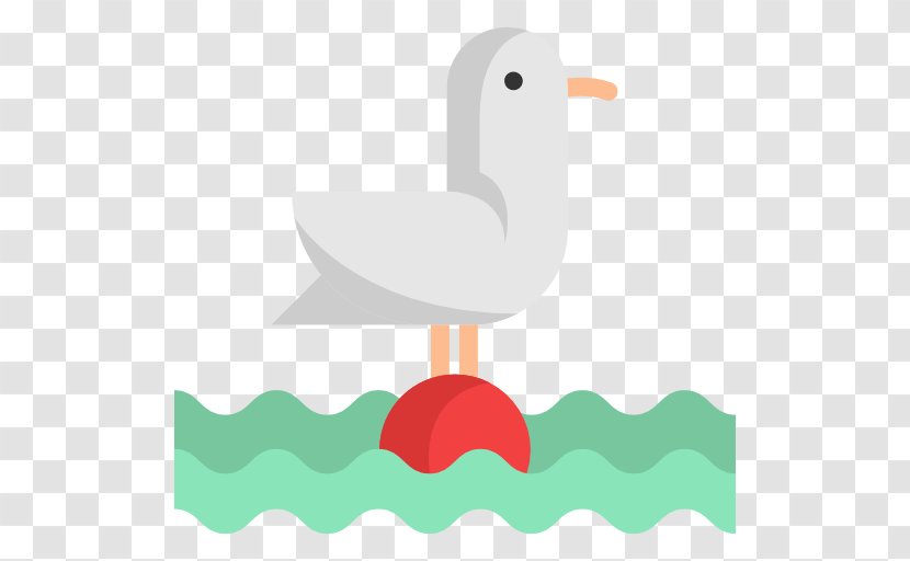 Gulls Bird Duck Clip Art - Seagull Transparent PNG