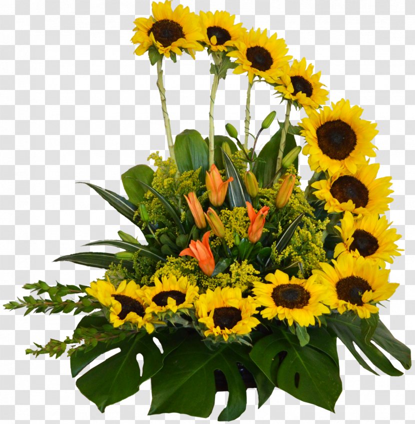 Common Sunflower Name Day Cut Flowers Flower Bouquet - Sunflowers Transparent PNG