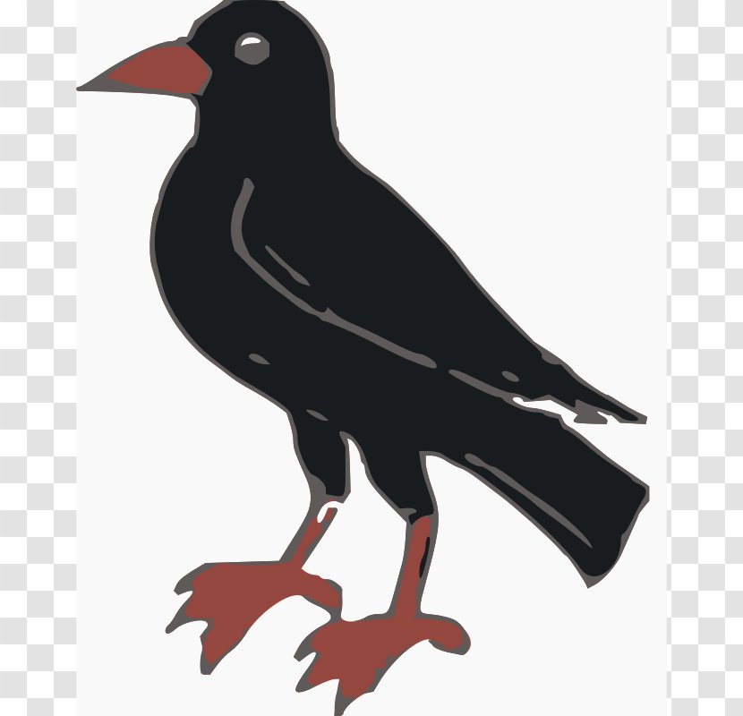 Crows Clip Art - Rook - Crow Transparent PNG