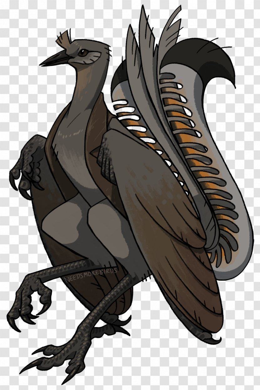 Eagle Cartoon Galliformes Fauna - Bird Of Prey Transparent PNG