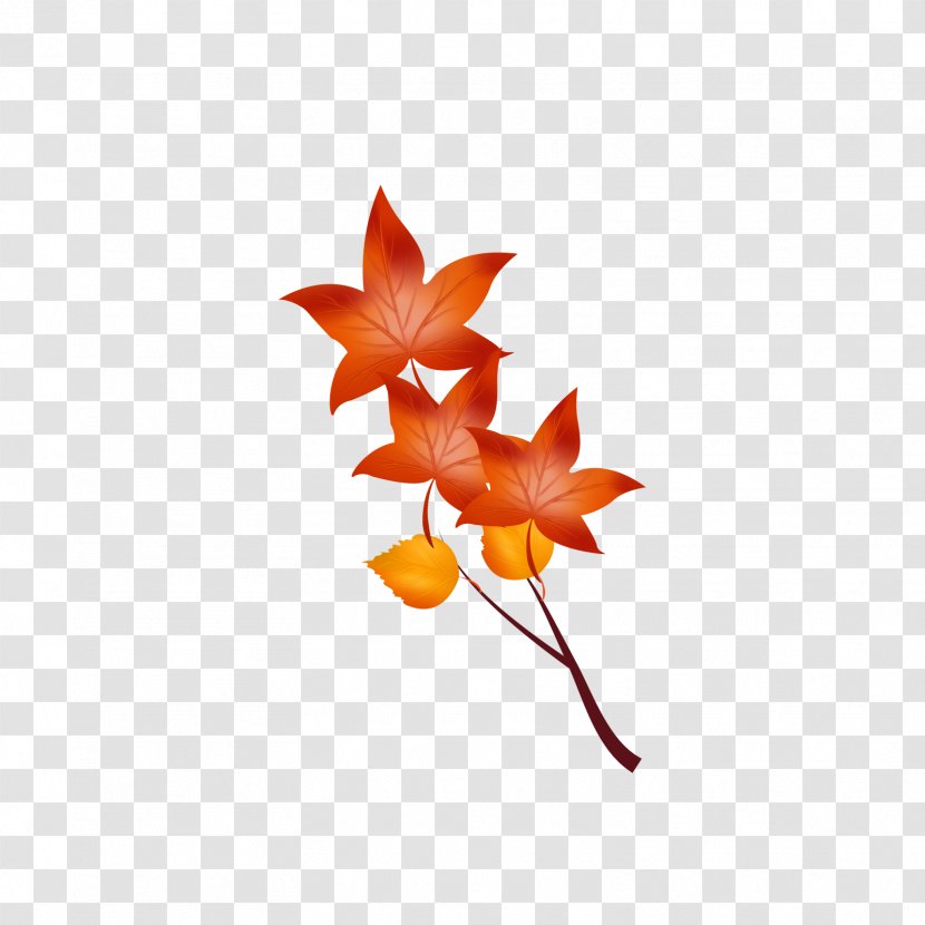 Maple Leaf Yellow Autumn - Red And Leaves Transparent PNG