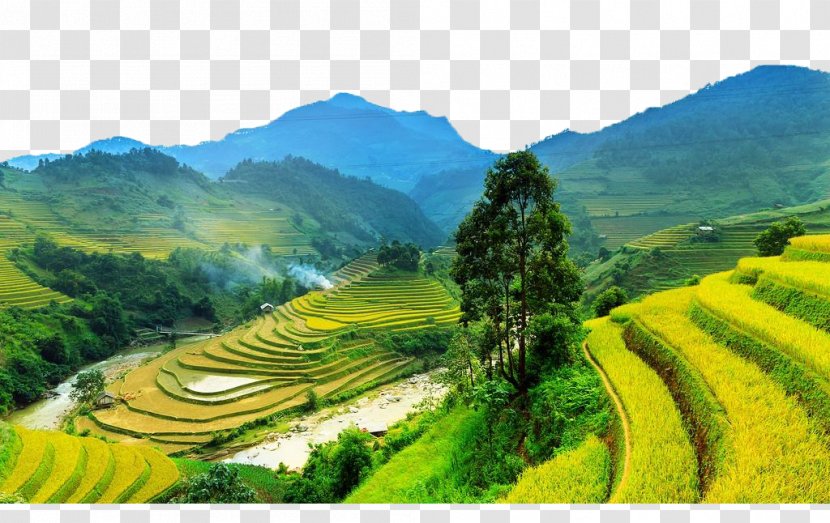 Sa Pa Mxf9 Cang Chu1ea3i District Jigsaw Puzzle Terrace Field - Mountain Terraces Transparent PNG