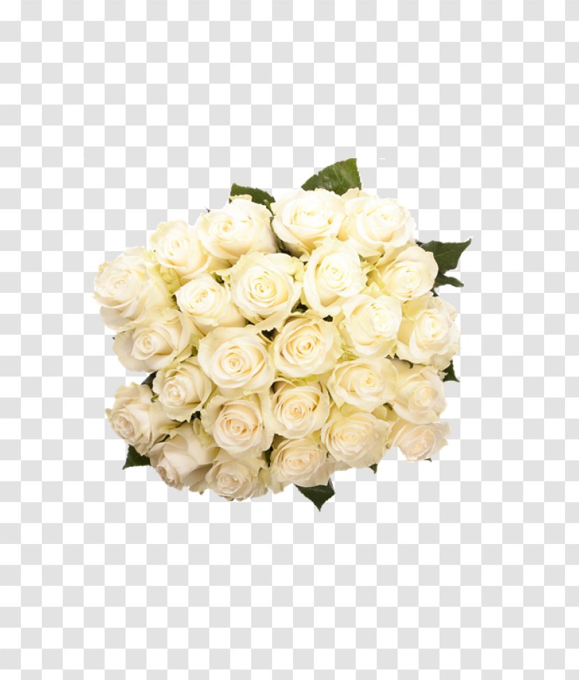 Valentine's Day Rose Flower Bouquet Gift - Garden Roses - White Transparent PNG