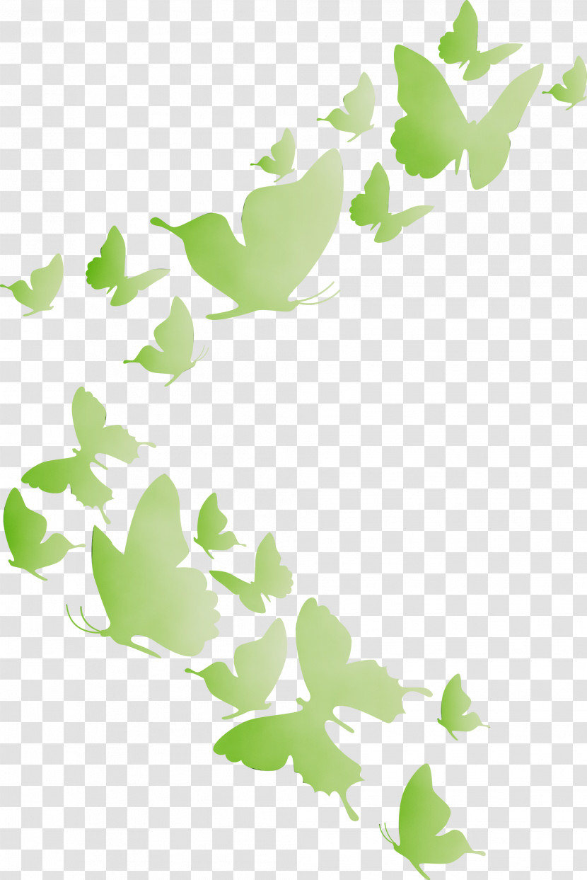 Floral Design Transparent PNG