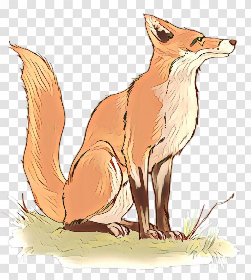 Red Fox Illustration Fauna Cartoon News - Swift Transparent PNG