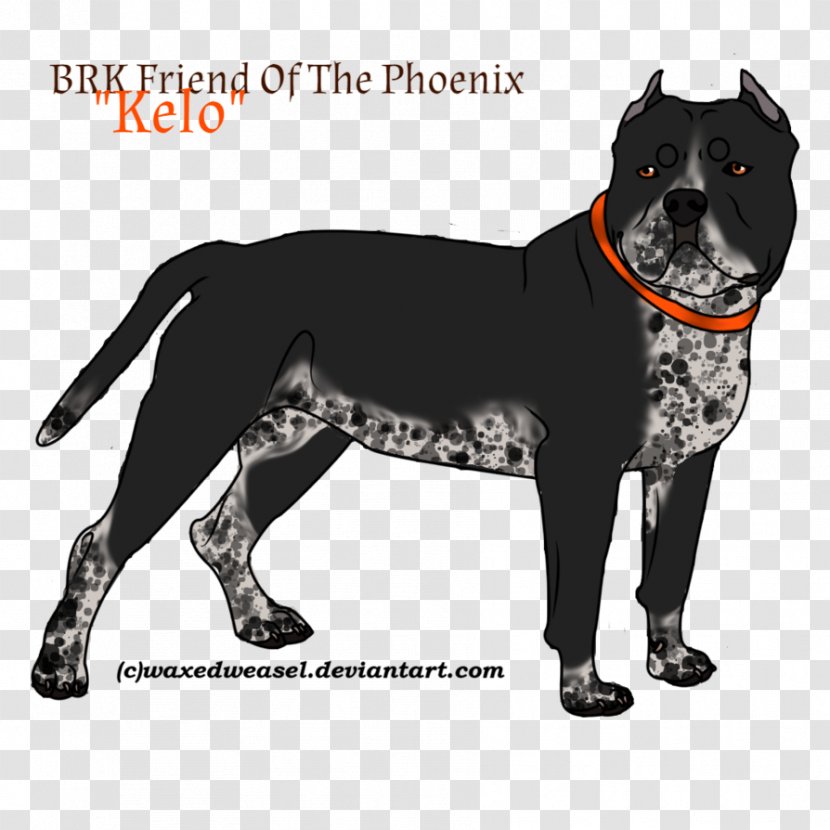 Dog Breed Transparent PNG