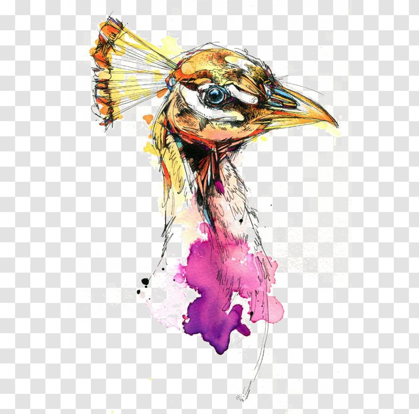 Bird Watercolor Painting Drawing Visual Arts - Printmaking - Peacock Transparent PNG