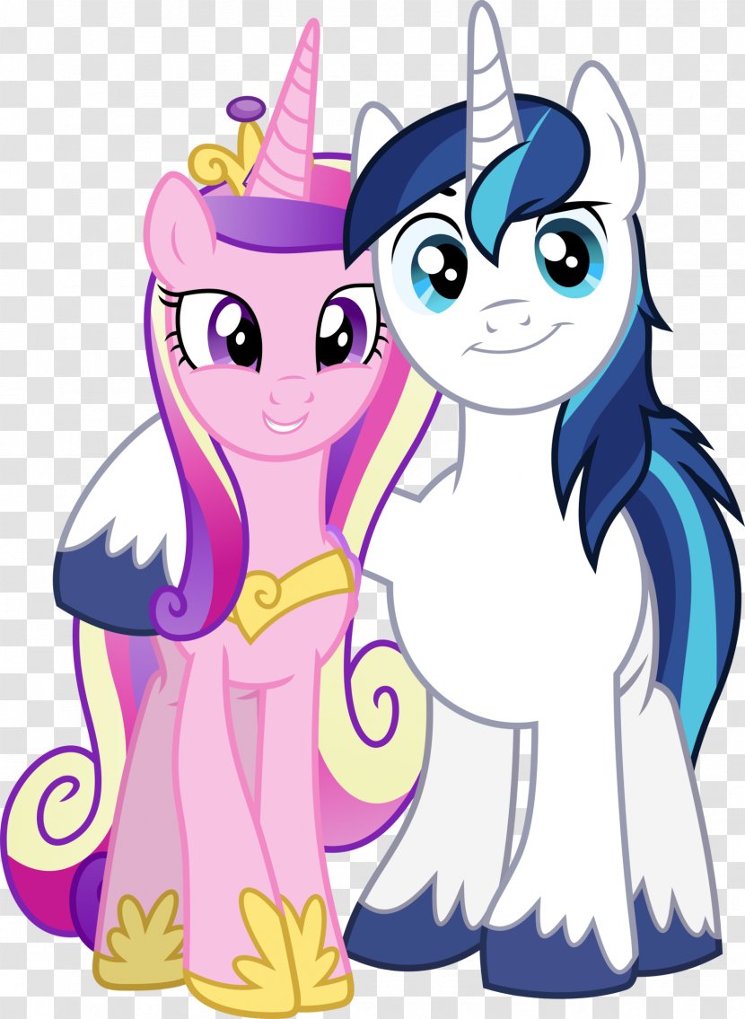 Princess Cadance Shining Armor Twilight Sparkle Pinkie Pie Pony - Silhouette - Flurries Vector Transparent PNG