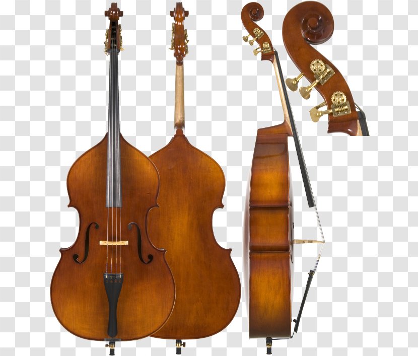 Cello Double Bass Violin String Instruments Musical - Cartoon Transparent PNG