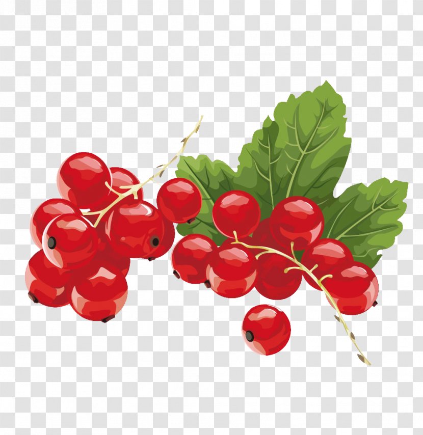 Juice Kissel Redcurrant Blackcurrant Berry - Cherry Transparent PNG