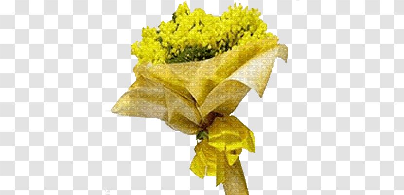 International Women's Day Woman Flower Acacia Dealbata Mimosa - Yellow Transparent PNG