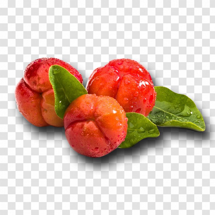Barbados Cherry Wild Crapemyrtle Juice Nanche Fruit - Goji Transparent PNG
