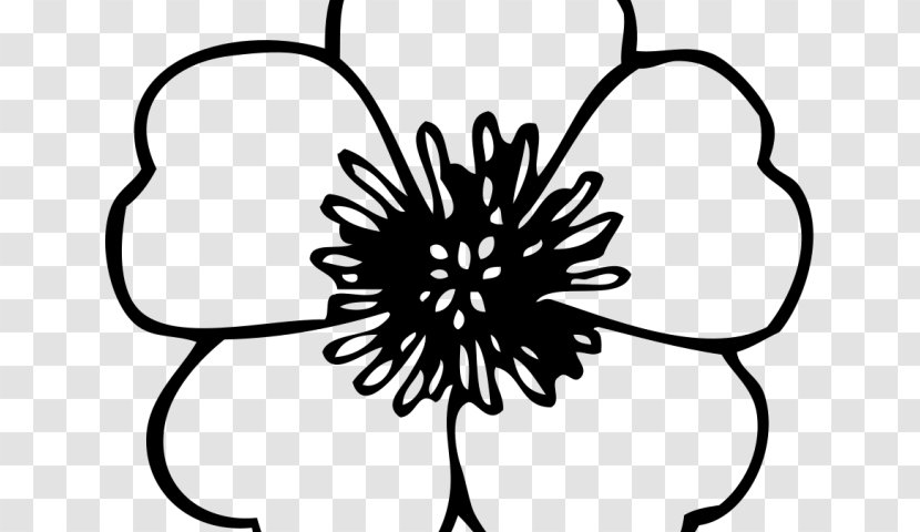 Clip Art Transparency Flower Drawing - Coloring Book - Black And White Line Transparent PNG