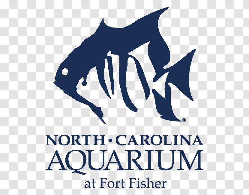North Carolina Aquarium At Pine Knoll Shores On Roanoke Island Outer Banks Fort Fisher Aquariums - Organism - Shark Transparent PNG
