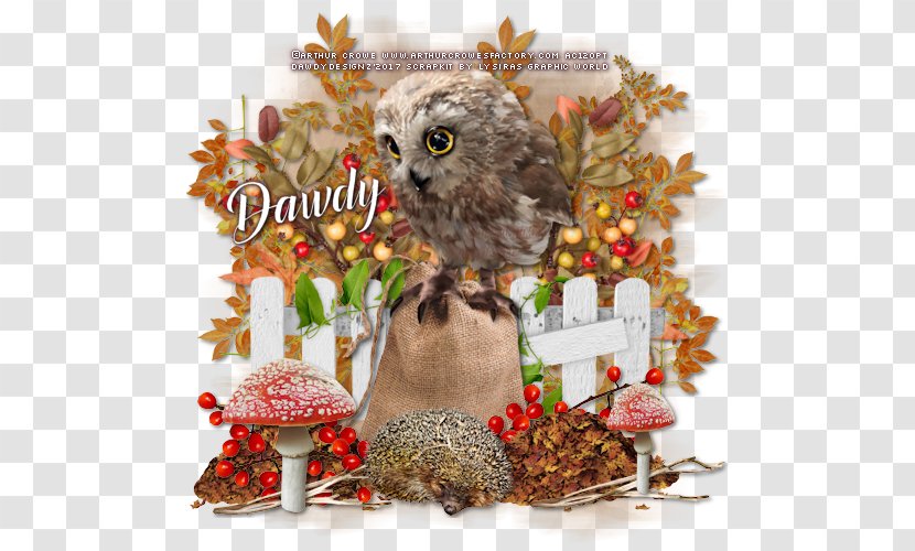 Owl Christmas Ornament Fauna Day Branching Transparent PNG