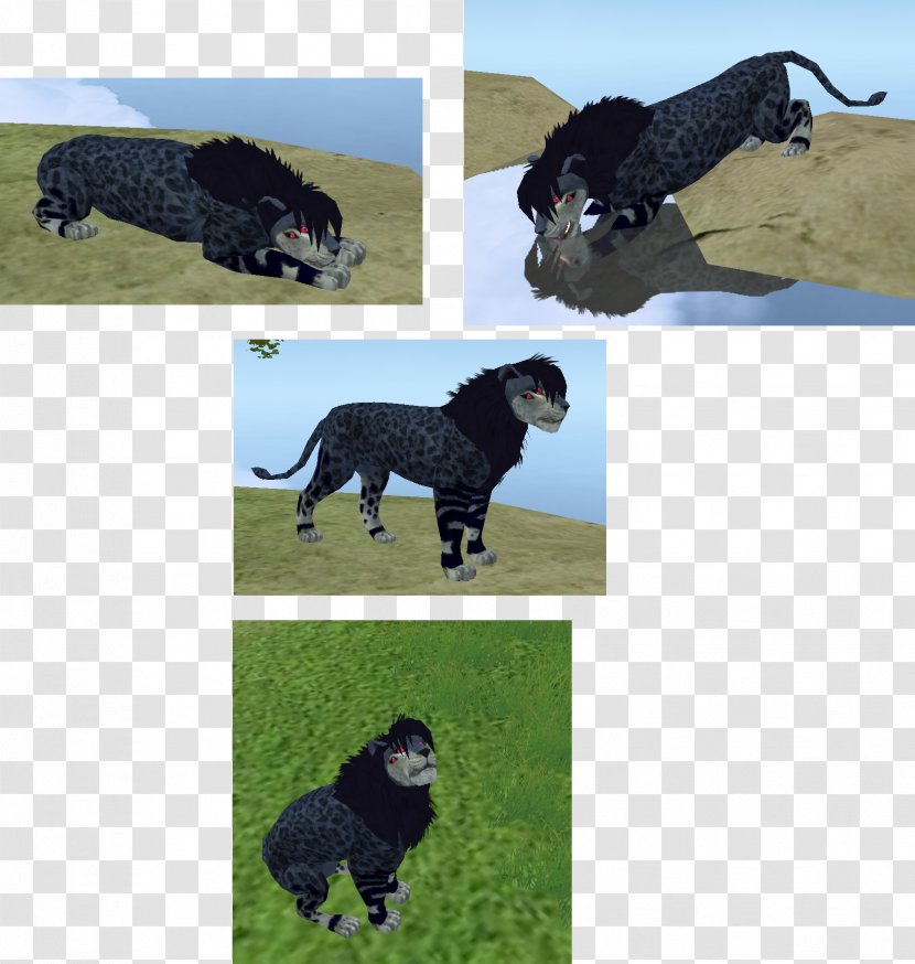 Dog Breed Portuguese Water Spanish Sporting Group - Narwal Transparent PNG