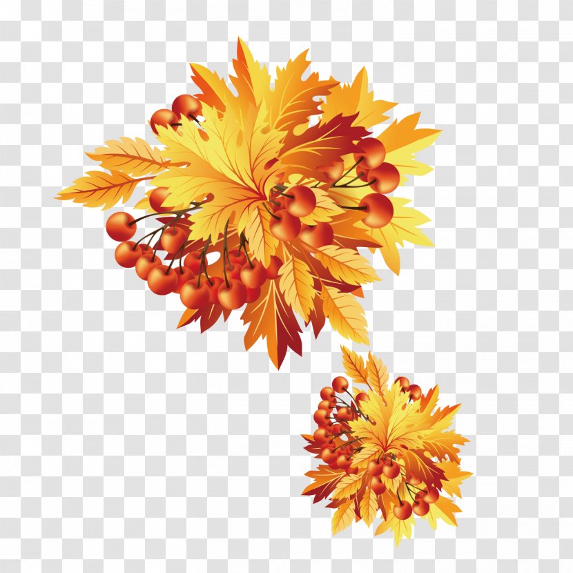 Autumn Maple Leaf - Fruit Leaves Transparent PNG