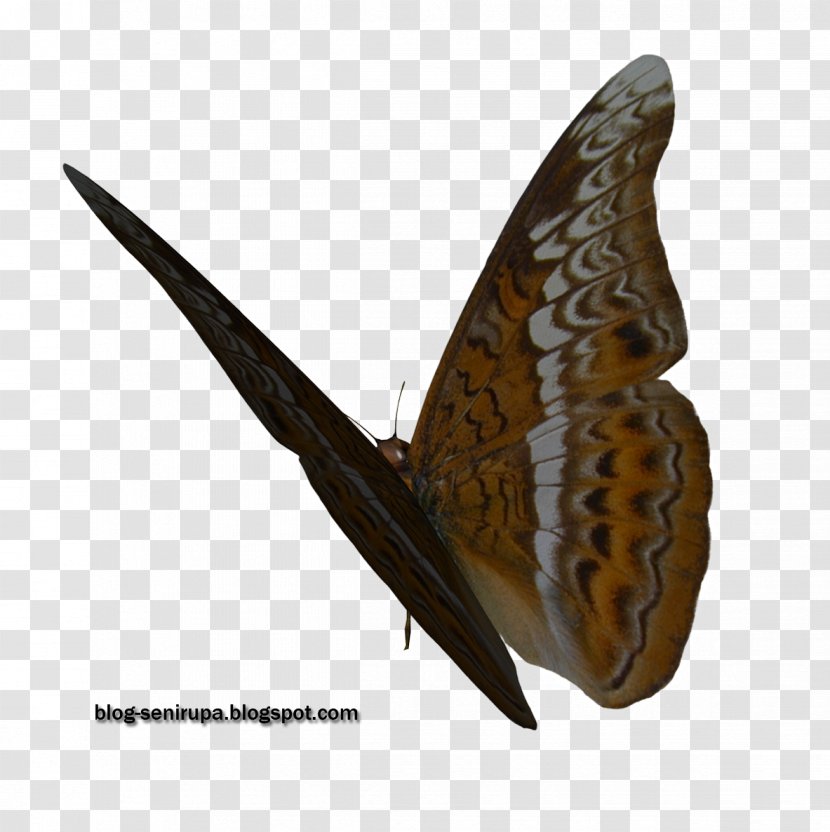 Butterfly Stock Photography Visual Arts Transparent PNG