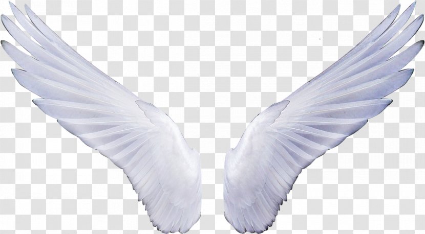 Angel Sticker Clip Art - Neck - Wings Transparent PNG