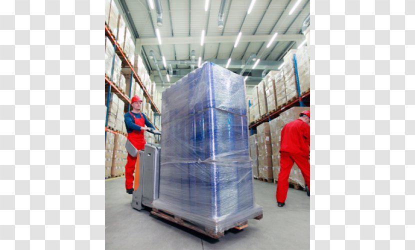 Warehouse Business Cargo Industry Freight Forwarding Agency - Transport - Polvo Transparent PNG