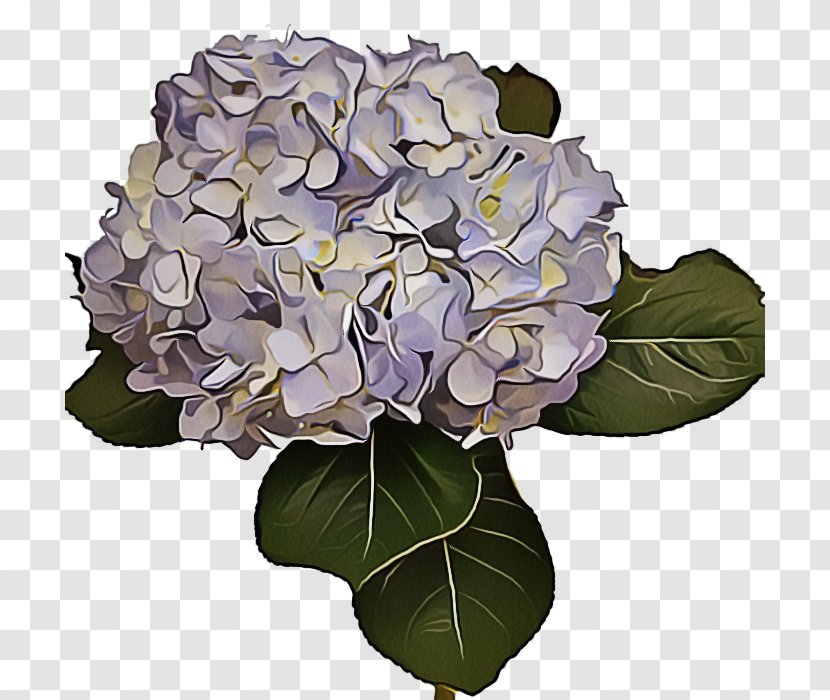 Floral Flower Background - Green - Violet Family Bouquet Transparent PNG