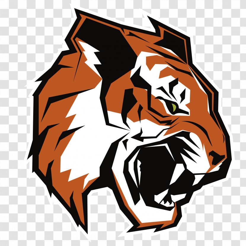 Oliver Ames High School Sharon Attleboro National Secondary Stoughton - Logo - Tigers Transparent PNG