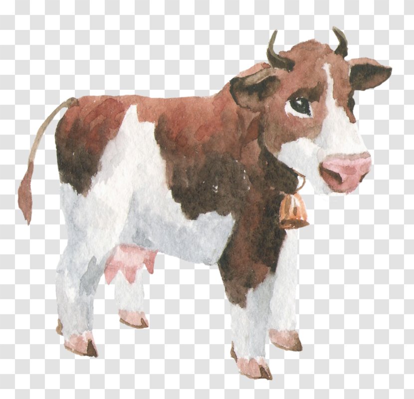 Dairy Cattle Calf Graphic Design - Snout Transparent PNG