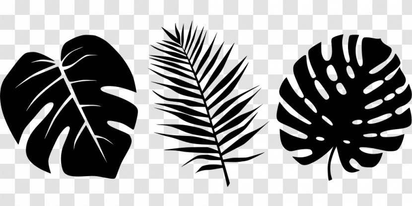 Palm Leaf - Plant - Logo Wing Transparent PNG