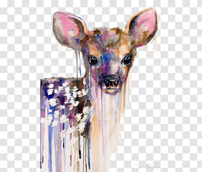 Deer Watercolor Painting Art Portrait - Wildlife - Oil Of Transparent PNG
