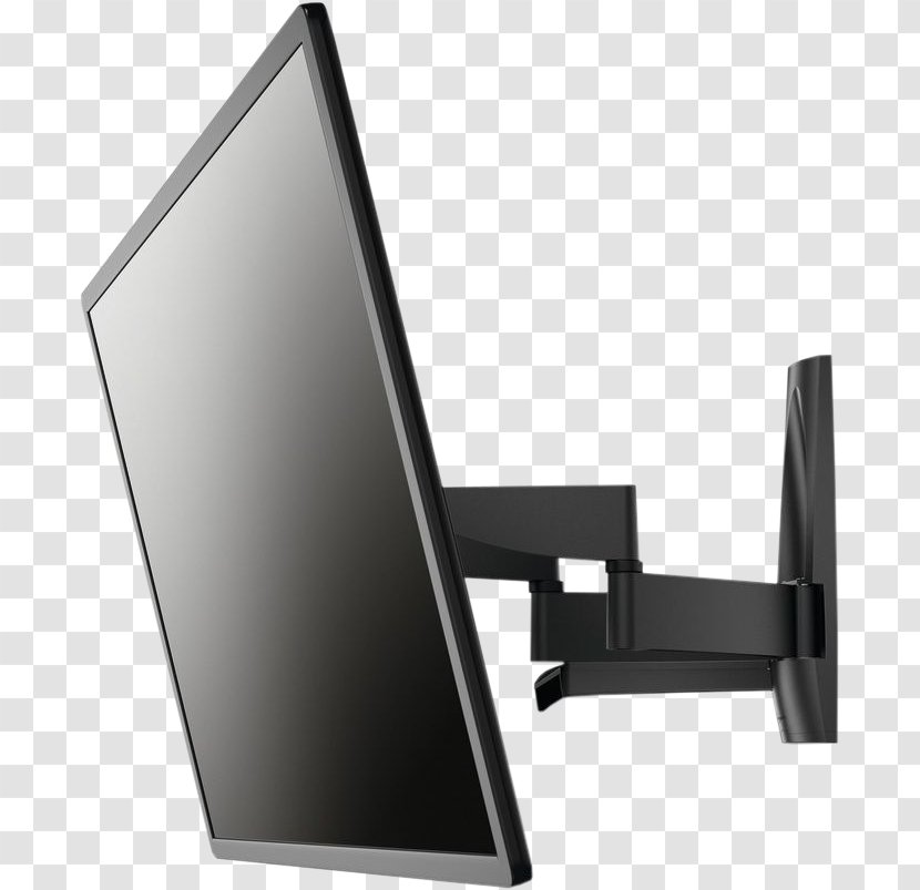 Television Video Electronics Standards Association Flat Panel Display Bird Computer Monitors - Inch - Tv Wall Transparent PNG