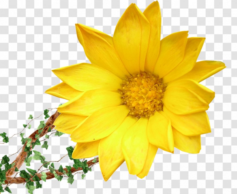 Flower Bouquet Yellow Floristry Clip Art - Royal Blue - Sunflower Transparent PNG