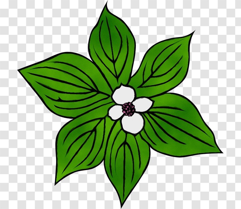 Green Flower Leaf Clip Art Plant - Paint - Blackandwhite Petal Transparent PNG
