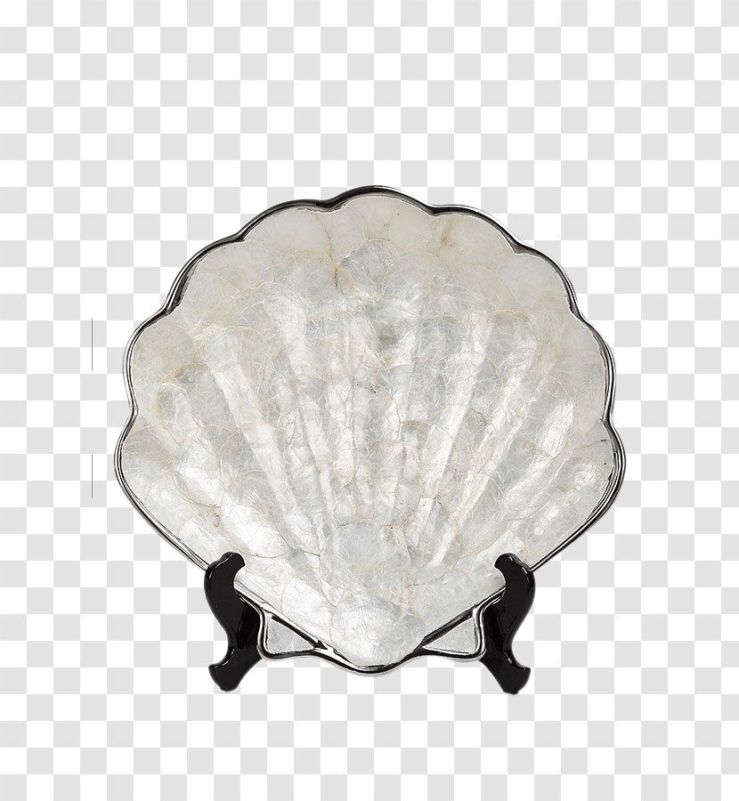 Seashell Conch Entryway - Shell Ornaments Transparent PNG