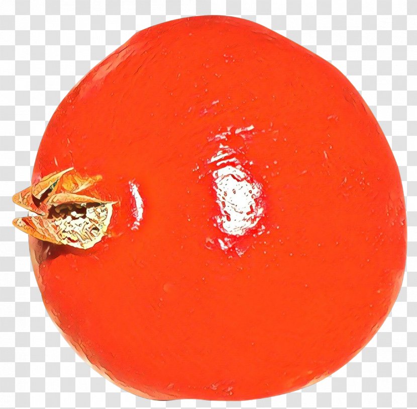 Tomato Cartoon - October 1 - Fruit Orange Transparent PNG