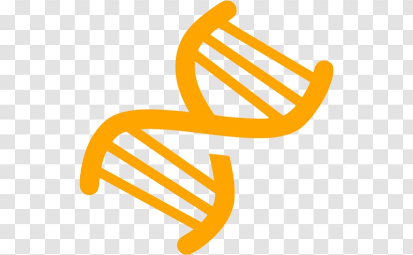 Nucleic Acid Double Helix DNA - Vector Transparent PNG