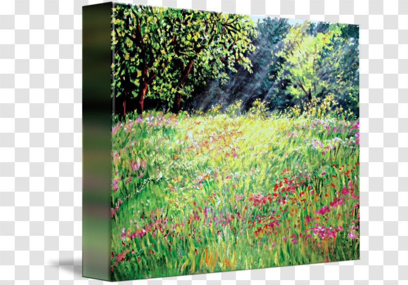 Flora Meadow Vegetation Ecosystem Painting - Shrub Transparent PNG