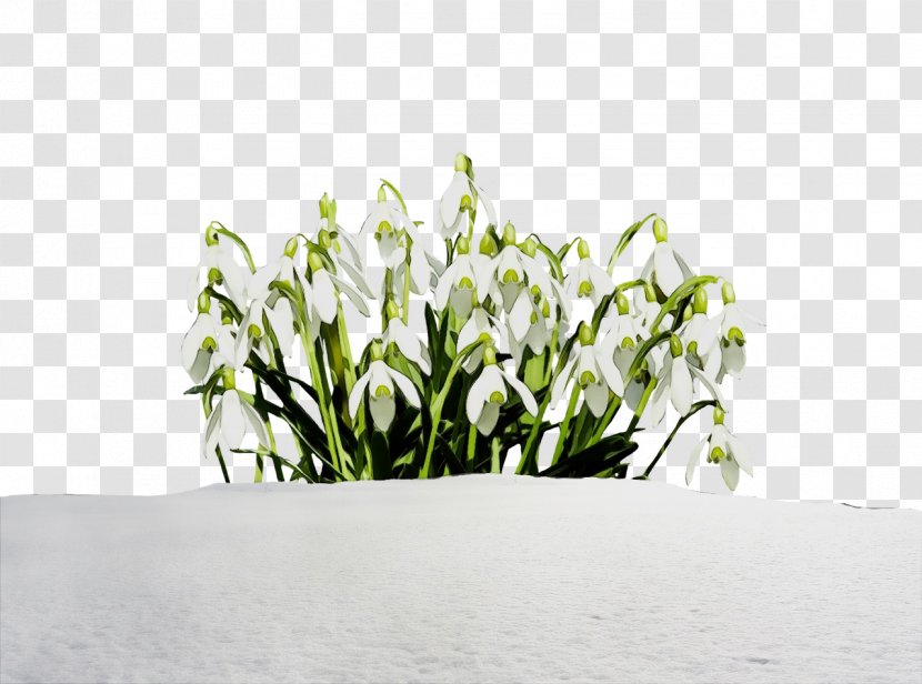 Cartoon Nature Background - Snow - Petal Blackandwhite Transparent PNG