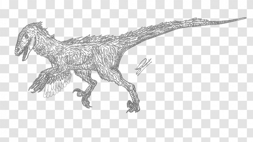 Velociraptor Deinonychus Tyrannosaurus Animal Drawing - Organism - Primeval Transparent PNG