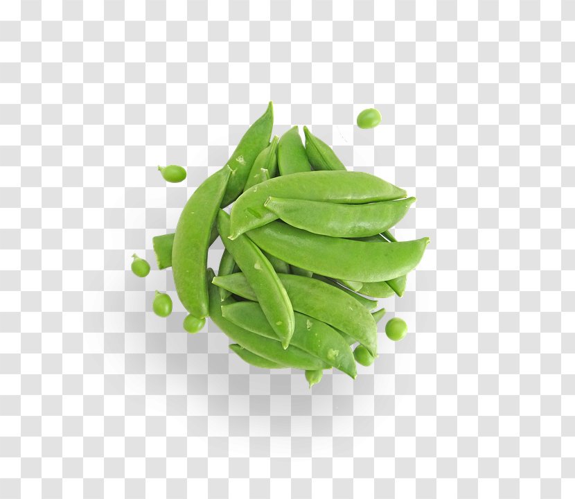 Snap Pea Snow Food Vegetable Vegetarian Cuisine - Legumes - Sugarsnap Peas Organic Transparent PNG