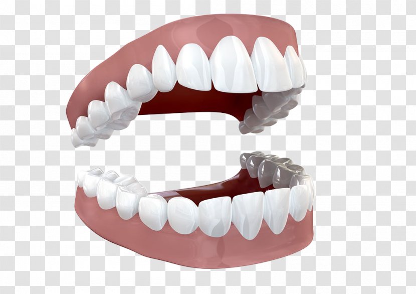 Human Tooth Stock Photography - Watercolor - Open Teeth Transparent PNG