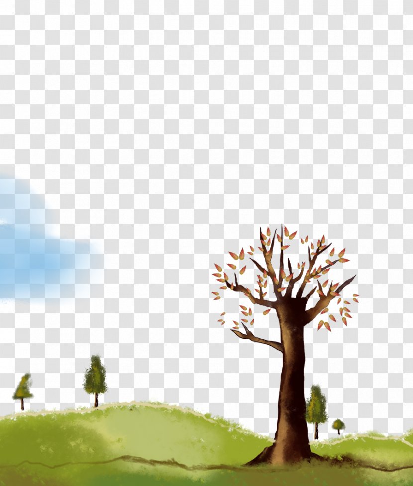 Spring Sprouting Tree Material - Sky - Photography Transparent PNG