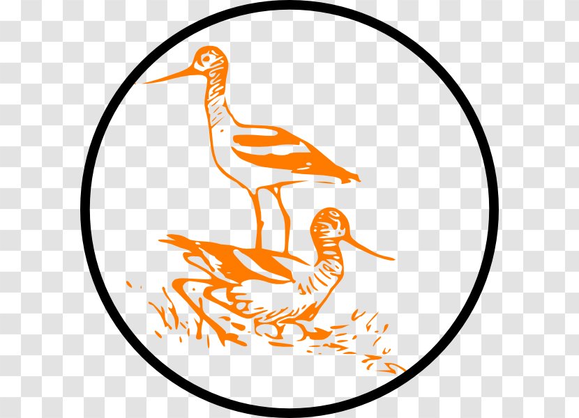 Bird Cygnini Line Art Clip - Area - Marsh Sandpiper Transparent PNG