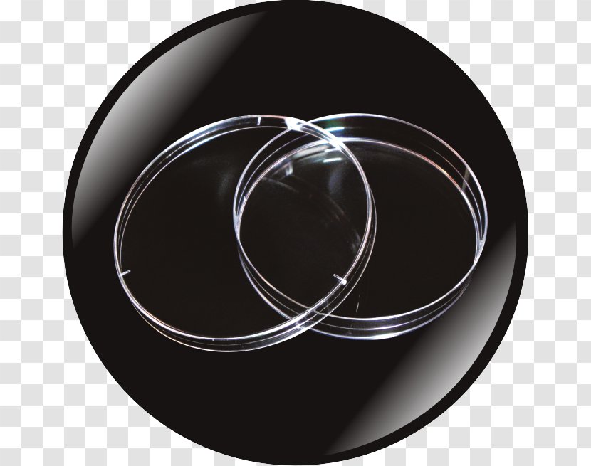 Wheel Circle Rim Transparent PNG