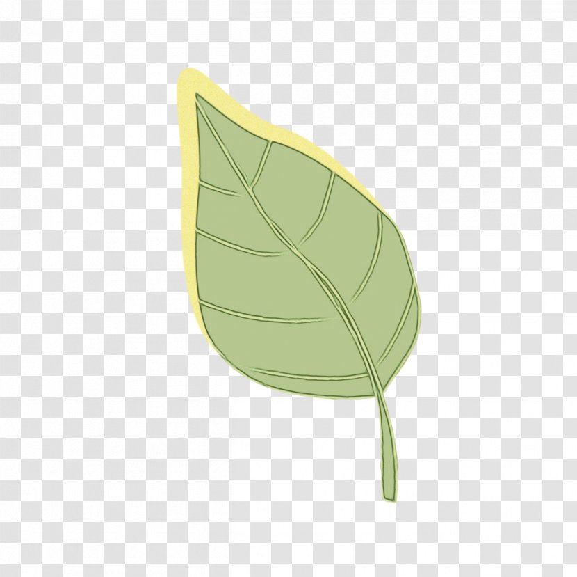 Green Leaf Background - Yellow - Flower Anthurium Transparent PNG