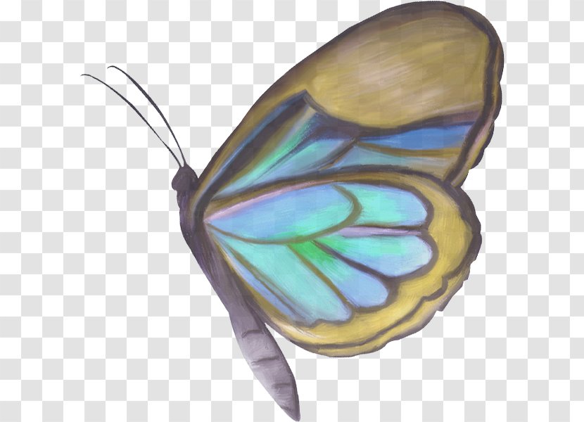 Monarch Butterfly Moth - 2018 La Transparent PNG